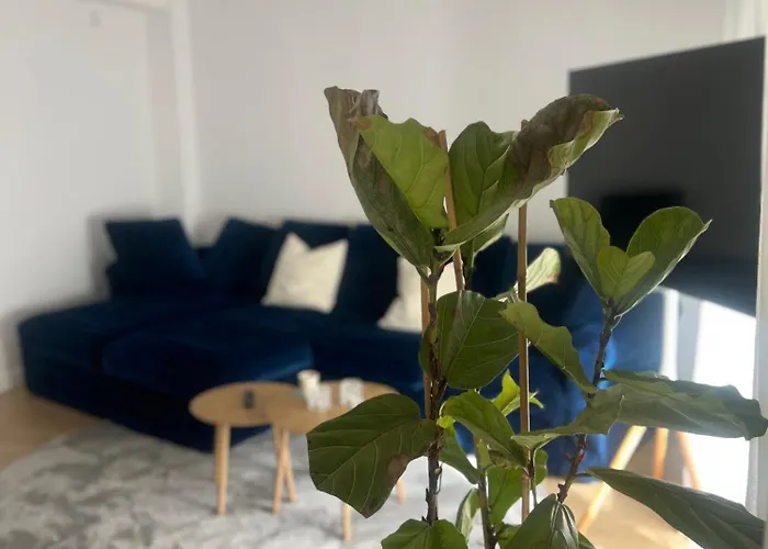 Playa Del Cura, Urban Glow - Modern,comfortable And Stylish Retreat *